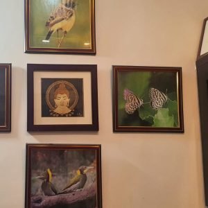 Best skin care clinic in Darbhanga wall Image